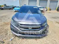2021 Honda CIVIC фото