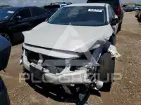 2021 Honda CIVIC фото