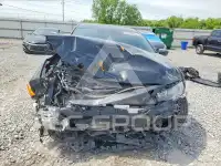 2021 Honda CIVIC фото