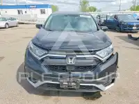 2021 Honda CR-V фото