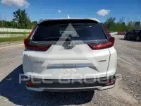 2021 Honda CR-V photo