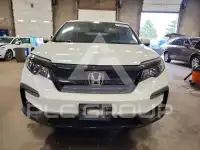 2021 Honda PILOT photo