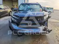 2021 Honda PILOT photo