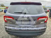 2021 Honda PILOT photo