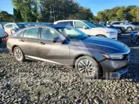 2021 Honda Accord photo