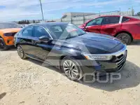 2021 Honda Accord photo