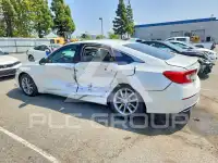 2021 Honda Accord photo