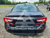 2021 Honda Accord фото