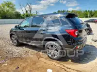 2021 Honda PASSPORT photo