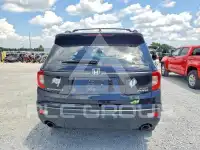 2021 Honda PASSPORT photo