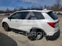2021 Honda PASSPORT photo