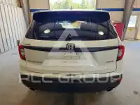 2021 Honda PASSPORT photo