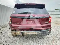 2021 Honda PASSPORT photo