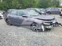 2021 Honda INSIGHT photo