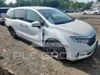 2021 Honda ODYSSEY photo