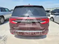 2021 Honda ODYSSEY фото