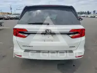 2021 Honda ODYSSEY photo