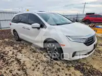 2021 Honda ODYSSEY фото