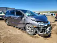 2021 Honda ODYSSEY фото