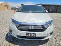 2021 Honda ODYSSEY фото