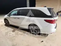 2021 Honda ODYSSEY фото
