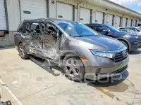 2021 Honda ODYSSEY photo