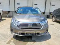 2021 Honda ODYSSEY photo