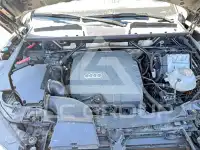 2021 Audi Q5 photo