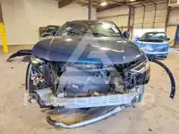 2021 Audi Q8 фото