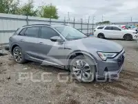 2021 Audi E-TRON photo