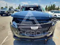 2021 Cadillac ESCALADE photo