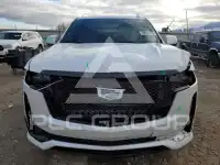2021 Cadillac ESCALADE фото
