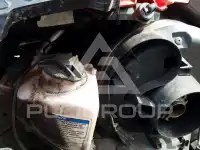 2021  фото