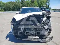 2021 Porsche Cayenne photo