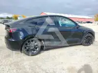 2021 Tesla Model Y фото