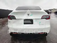 2021 Tesla Model Y фото
