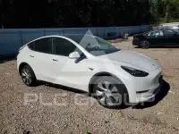 2021 Tesla Model Y photo