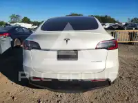 2021 Tesla Model Y фото