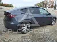 2021 Tesla Model Y photo