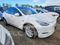 2021 Tesla Model Y фото