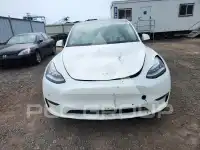 2021 Tesla Model Y photo