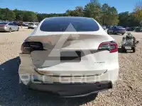 2021 Tesla Model Y photo