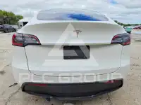 2021 Tesla Model Y фото
