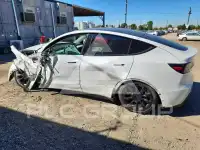 2021 Tesla Model Y photo