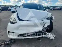 2021 Tesla Model Y фото