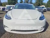 2021 Tesla Model Y photo