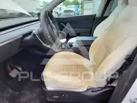 2021 Tesla Model Y photo