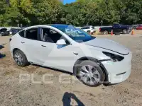 2021 Tesla Model Y фото