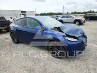 2021 Tesla Model Y photo