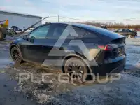 2021 Tesla Model Y photo